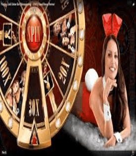 casinobonusbible.com playboy fortunes slot  review